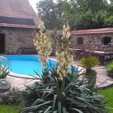 Prezident Guest house Soberaz
